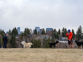 People spend the afternoon with their dogs at River Park off-leash park on an overcast day on Tuesday, April 26, 2022.