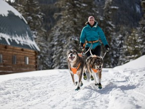 Ruff Wear makes ski-joring harnesses for dog fun Photo by Ruff Wear