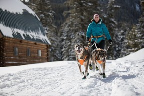Ruff Wear makes ski-joring harnesses for dog fun Photo by Ruff Wear