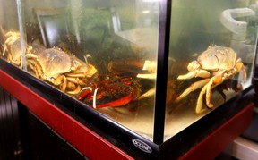 One of the specialties at Golden Sands Chinese Seafood Restaurant is fresh crab. Darren Makowichuk/Postmedia