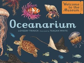 Oceanarium
Barbra Hesson May 7