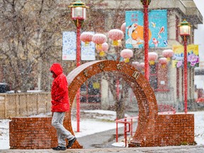 A pedestrian walks in Calgary's Chinatown as showers fall Tuesday, April 19, 2022.