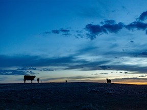 Night falls on the Red Deer River valley near Bindloss, Ab., on Monday, May 16, 2022.