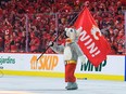 The Calgary Flames' Mascot, Harvey The Hound, waves a flag after the Flames defeated the Dallas Stars in overtime during Game Seven of the First Round of the 2022 Stanley Cup Playoffs at Scotiabank Saddledome on May 15, 2022 in Calgary, Alberta, Canada. The Flames defeated the Stars 3-2 in overtime.
