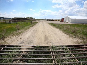 A parcel of land at the end of Orchard Way on the south side of Strathmore, AB, east of Calgary, is where Phyto Organix has planned a $255-million net-zero plant processing facility.
