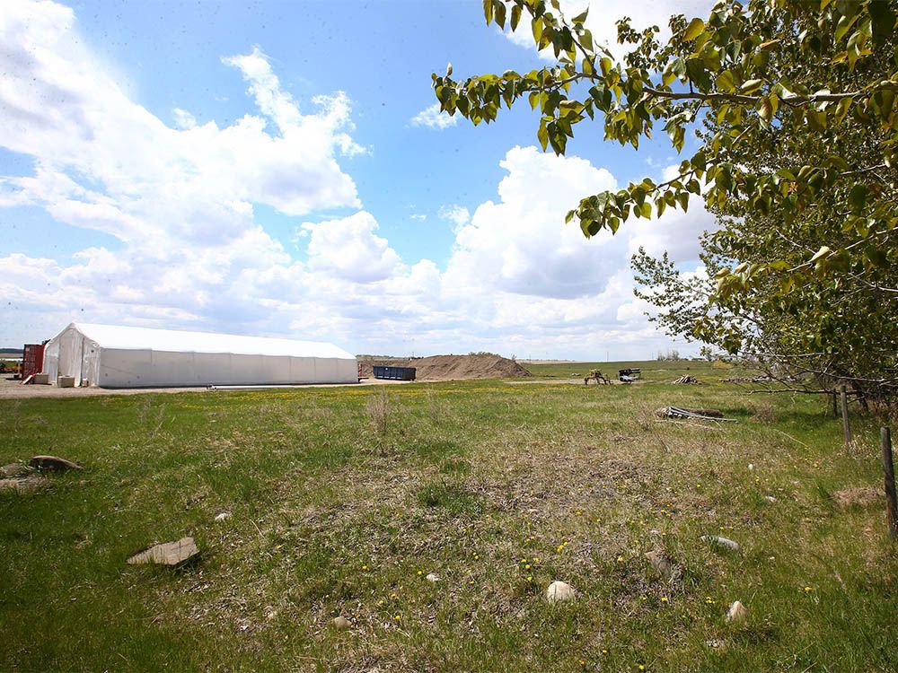 A parcel of land at the end of Orchard Way on the south side of Strathmore, AB, east of Calgary, is where Phyto Organix has planned a $255-million net-zero plant processing facility.