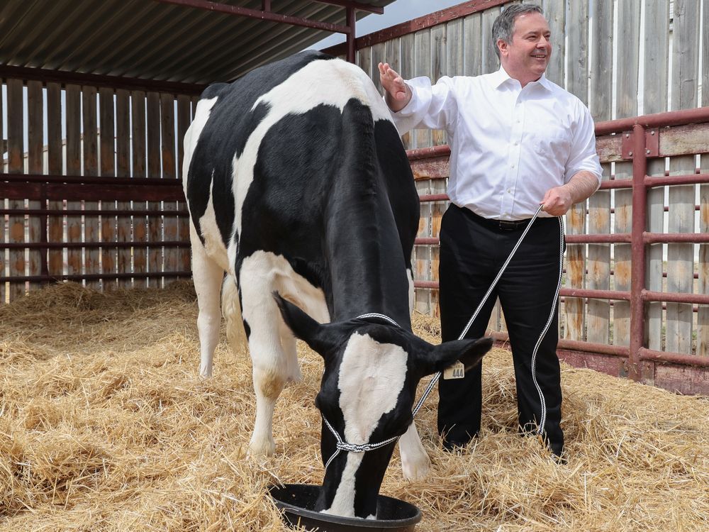 Provincial funding to double graduates from U of C veterinary program ...