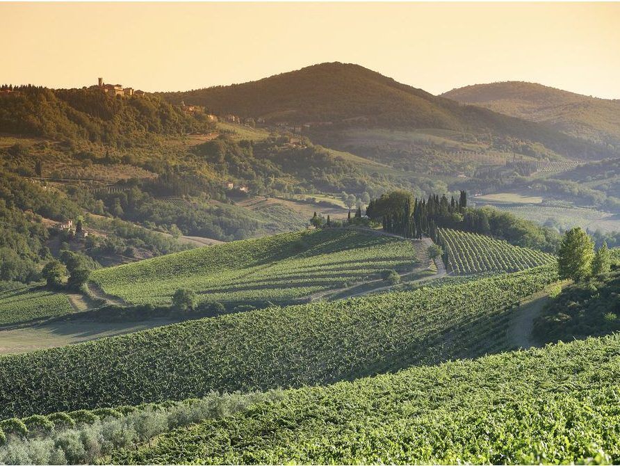 Chianti Classico, one of the world's oldest official wine