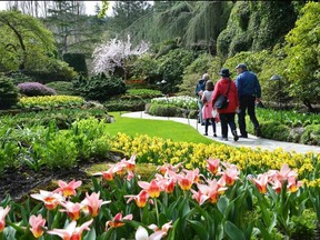 The cheerful displays at Victoria Butchart Gardens will lift your spirits.