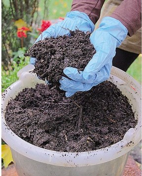 Proper soil is needed for a good growing season. Test your dirt to see if it’s alkaline, acidic or neither before planting.