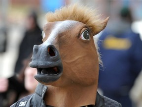 FILE PHOTO: Calgary police say a latex horse mask similar to the one seen here was left on the lawn of a politician, allegedly as a threat. One man is facing charges of criminal harassment in relation to the incident.
