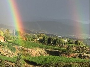 Similkameen Valley vineyards in B.C. Courtesy, Geoff Last