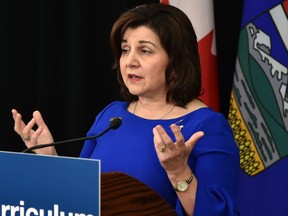 Education Minister Adriana LaGrange provides an update on three updated draft K-6 subjects ready for piloting this fall during a news conference in Edmonton on May 17, 2022.