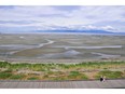 Parksville's low tide reveals warm tide pools and a kilometre of beachfront. Courtesy, Cut Woodhall