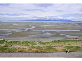 Parksville's low tide reveals warm tide pools and a kilometre of beachfront. Courtesy, Cut Woodhall