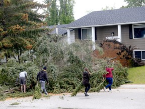 Residents clear a fallen tree on Lake Sylvan Drive S.E. on Tuesday.