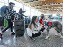 Sheila Dugiud and sheepadoodle Fergus with the Calgary International Airport’s Pre-Board Pals program welcome travellers at the airport on Tuesday, June 28, 2022. 