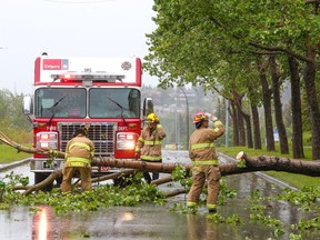 Calgary firefighters clear a tree that fell onto Edgemont Blvd. N.W. as strong winds and rain hit the city on Tuesday.