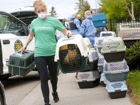 Calgary police, fire, peace and the Calgary Humane Society where called to a home in the 7000 block of Laguna Way N.E. to find a woman living in deplorable conditions with dozens of cats and numerous birds in Calgary on Tuesday, June 7, 2022.