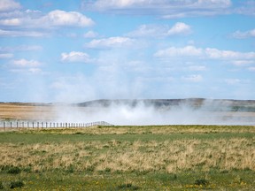 Alkali swings in the wind on the drying edge of Dead Horse Lake near Hussar, Alta., on May 31, 2022.