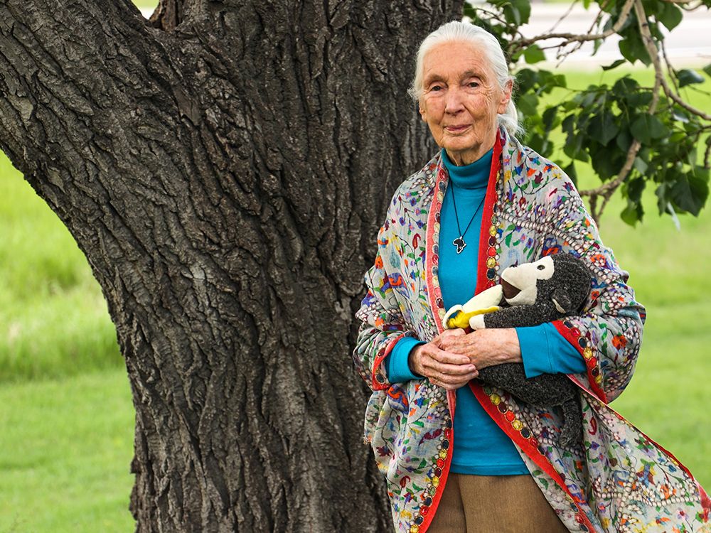 Dr. Jane Goodall steps back into the spotlight with lecture at Jubilee