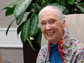 Goodall, 88, said young people’s ambition and enthusiasm give her hope for the future.