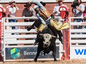 Bull-rider Creek Young from Rogersville, Mo., had a big day at the Calgary Stampede rodeo on Wednesday.