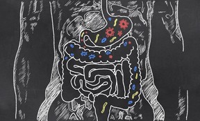 Keenan: A intestine feeling about prostate most cancers 2 Getty Images/iStockphoto