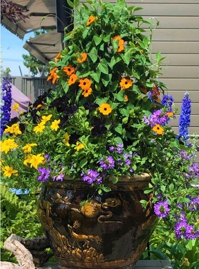 Les conteneurs seront à leur apogée à cette période de l'année. Un arrosage, une fertilisation et une coupe régulière assureront une floraison continue jusqu'à la fin de la saison. Photo de Bill Brooks