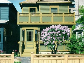 Peter Taylor's gardens began to take shape within a few years. The tree-lilac is a real showstopper and gets better every years thanks to severe pruning and shaping. Courtesy, 11th Street Gardens