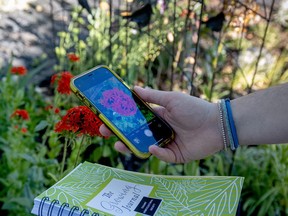 Journalling helps you keep track of the progress of your garden. Submitted photo