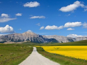 Gravel road near Pincher Creek. Courtesy,??Andrew Penner