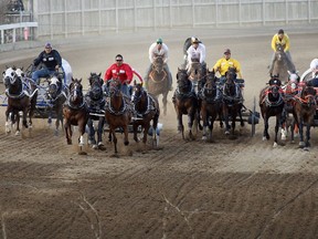 A chuckwagon race is seen during Calgary Stampede in Calgary in this file image from July 13, 2012. A horse has died after it was injured in a chuckwagon race at the Calgary Stampede.