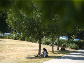 Calgarians find shade under trees in Bridgeland on a warm summer day in Calgary on Thursday, Aug. 11, 2022.