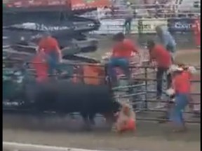 Leela Aheer blames her “mommy genes” for putting her face to face with an angry bull at the Strathmore Stampede this weekend.