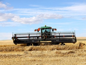 Farmers harvest their crops just north of Calgary on Monday, August 29, 2022.