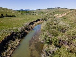 An area west of Claresholm is now protected through an agreement with local landowners and the Nature Conservancy of Canada. It includes natural grasslands and forest in the foothills.