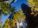 High-rise buildings in downtown Calgary are framed by fall-colored leaves on Wednesday, September 28, 2022.