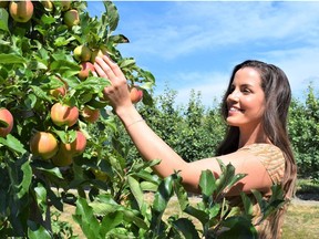 Danielle Giroux picks an apple while on the Johnny Popper Farm Tour at Davison Orchard in Vernon.