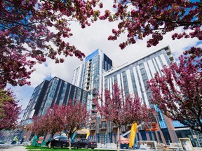 The Bridge at Bridgeland, by JEMM Properties, adds 285 rental suites to the Calgary market.