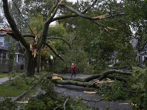 Georgina Scott surveys the damage on her street in Halifax as post tropical storm Fiona continues to batter the Maritimes on Saturday, September 24, 2022.