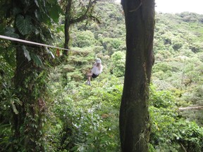 Families will enjoy ziplining through the rainforest at Selvatura Adventure Park in Costa Rica.