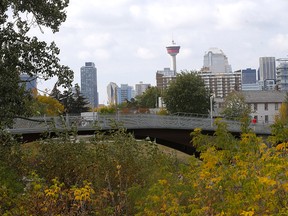 Proposed area at the confluence of the Elbow and Bow rivers for an indigenous ceremony and healing space.