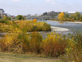 Suggested area at the confluence of the Elbow and Bow Rivers for an indigenous ceremony and healing space.