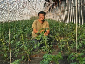 Jianyi Dong works in his greenhouse near Olds, Alta., in August 2022. Dong built his greenhouse business from scratch after the oil and gas business collapsed in 2014.