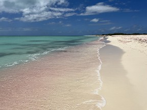 Barbuda's famed pink beaches get their hue tiny pink shells that have washed ashore. Photo, Jennifer Allford