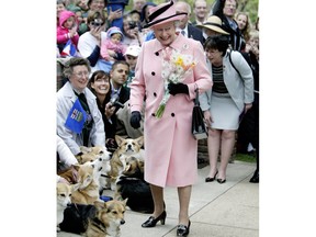 Queen Elizabeth II stops to view a group of corgis from the Pembroke Welsh Corgi association following her visit to the Alberta Legislature in Edmonton on May 24, 2005. The Queen spent several minutes talking with owners and petting the animals. Edmonton Journal archives