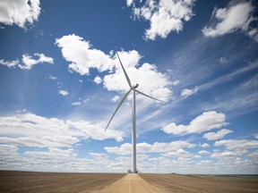 A new report from Royal Bank of Canada says wind and solar power sould comprise the bulk of new electricity generation in the near term.