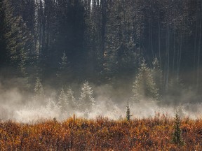 Frost sublimates into mist near Bearberry, Ab., on Tuesday, October 11, 2022.