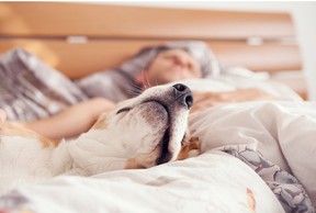 Pets give unqualified love which has been shown to have several health benefits including less stress and loneliness.